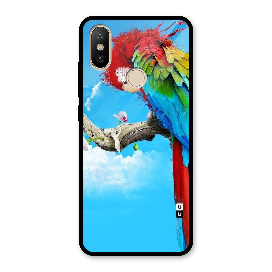 Sky Parrot Glass Back Case for Redmi A2