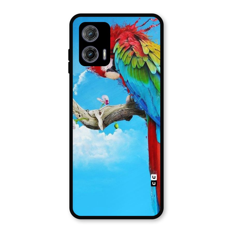 Sky Parrot Metal Back Case for Moto G73