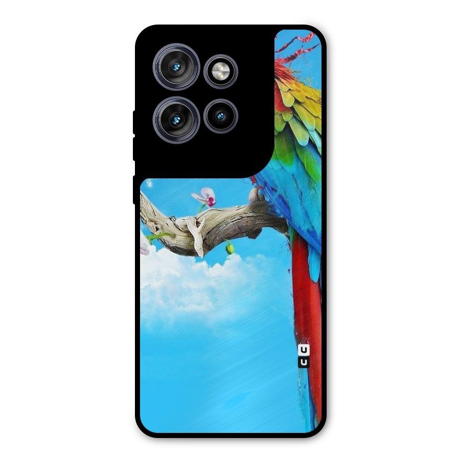 Sky Parrot Metal Back Case for Motorola Edge 50 Neo