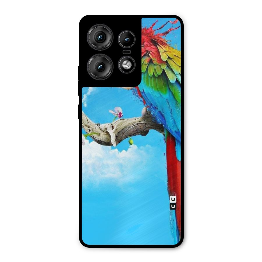 Sky Parrot Metal Back Case for Motorola Edge 50 Pro
