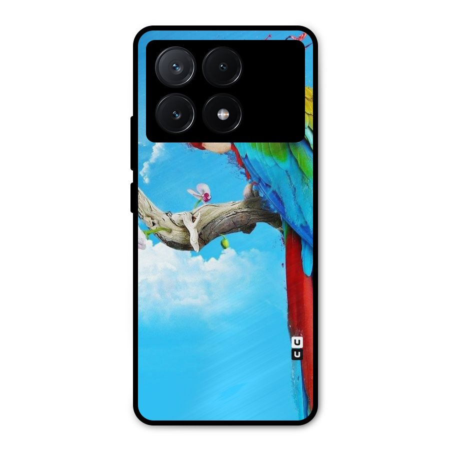 Sky Parrot Metal Back Case for Poco X6 Pro