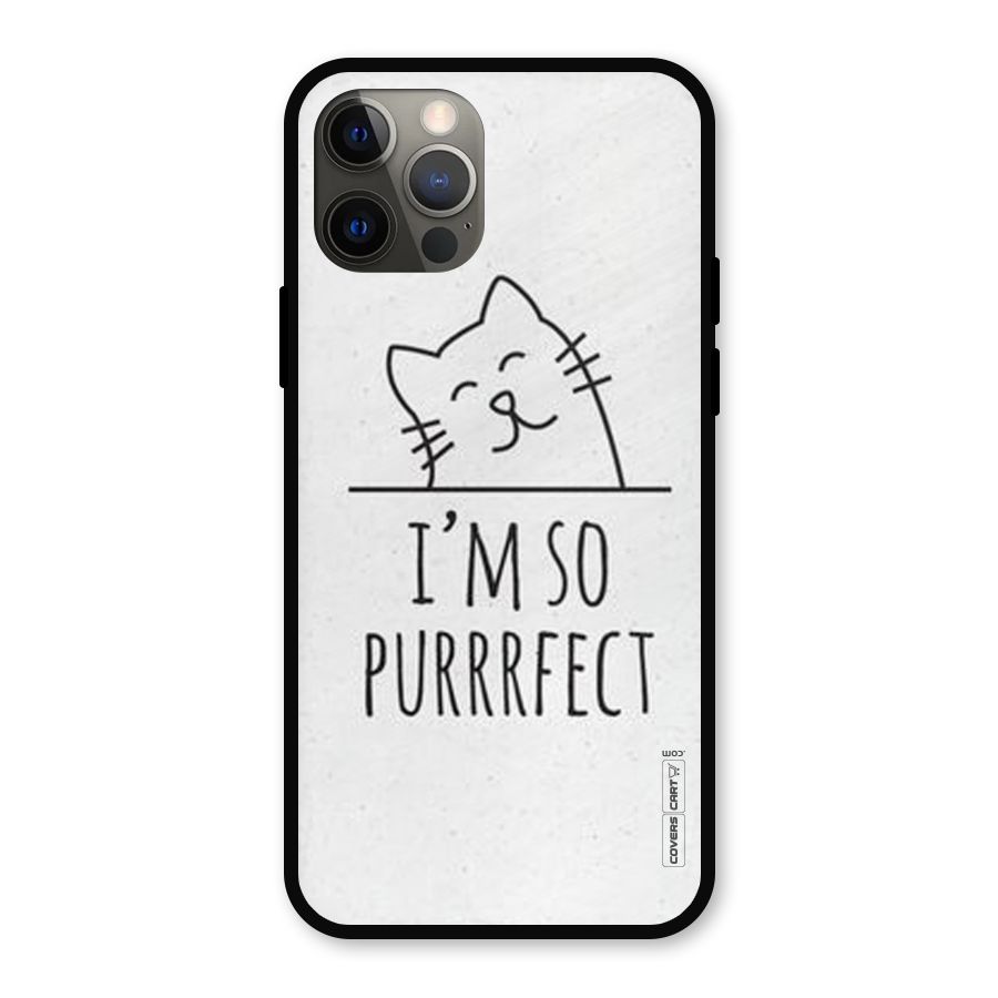 So Purrfect Metal Back Case for iPhone 12 Pro