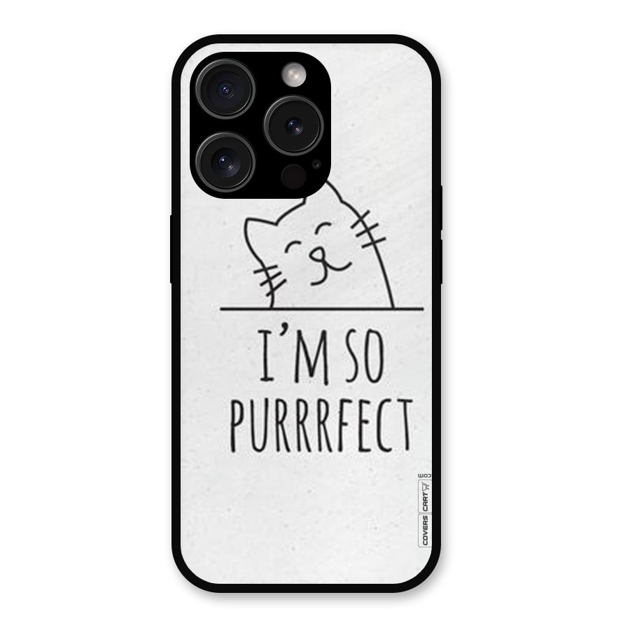 So Purrfect Metal Back Case for iPhone 15 Pro