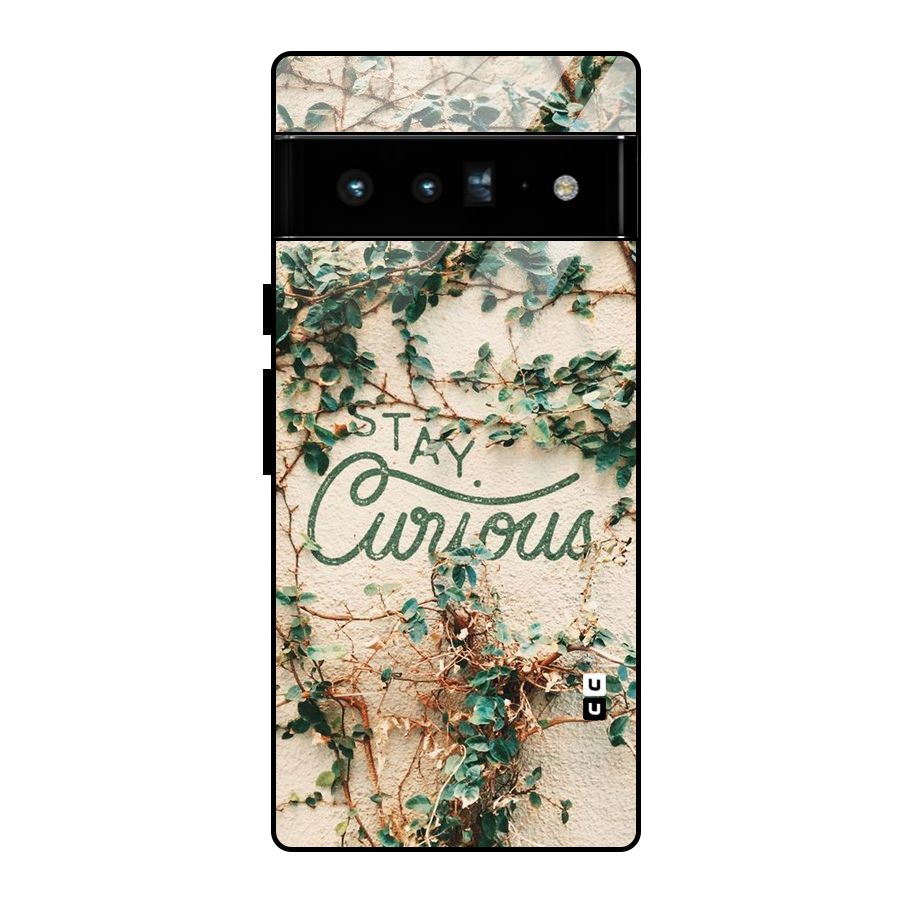 Stay Curious Glass Back Case for Google Pixel 6 Pro