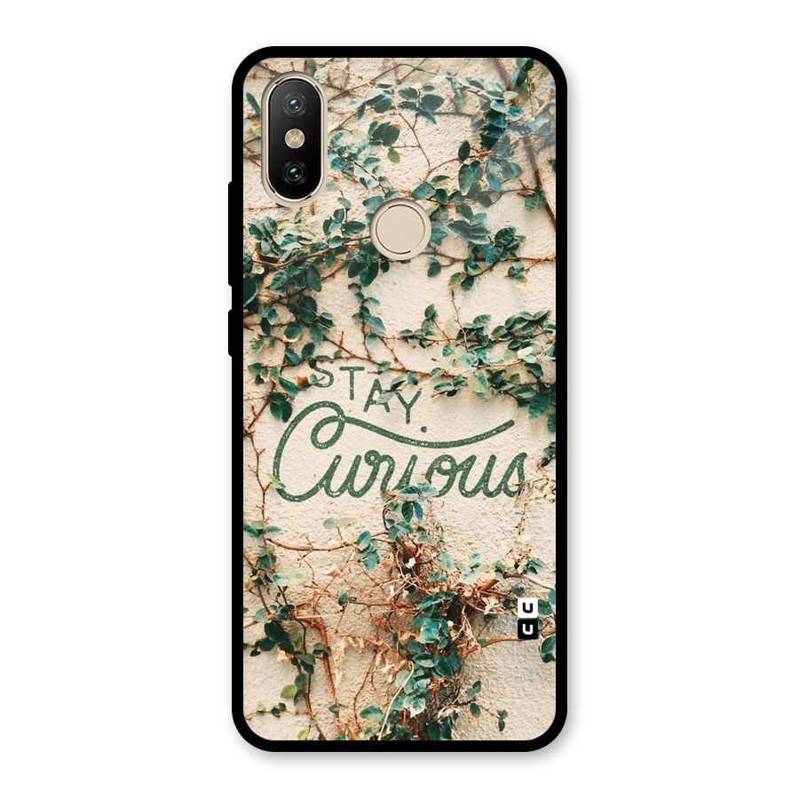 Stay Curious Glass Back Case for Redmi A2