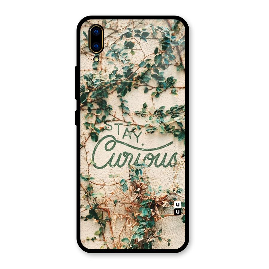 Stay Curious Glass Back Case for Vivo V11 Pro
