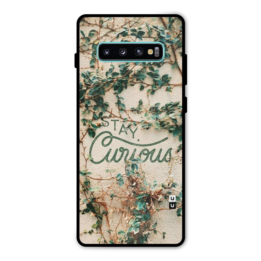 Stay Curious Metal Back Case for Galaxy S10 Plus