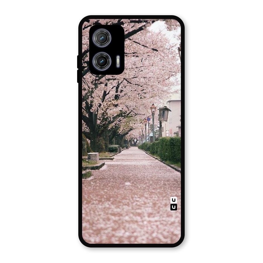 Street In Pink Flowers Metal Back Case for Moto G73