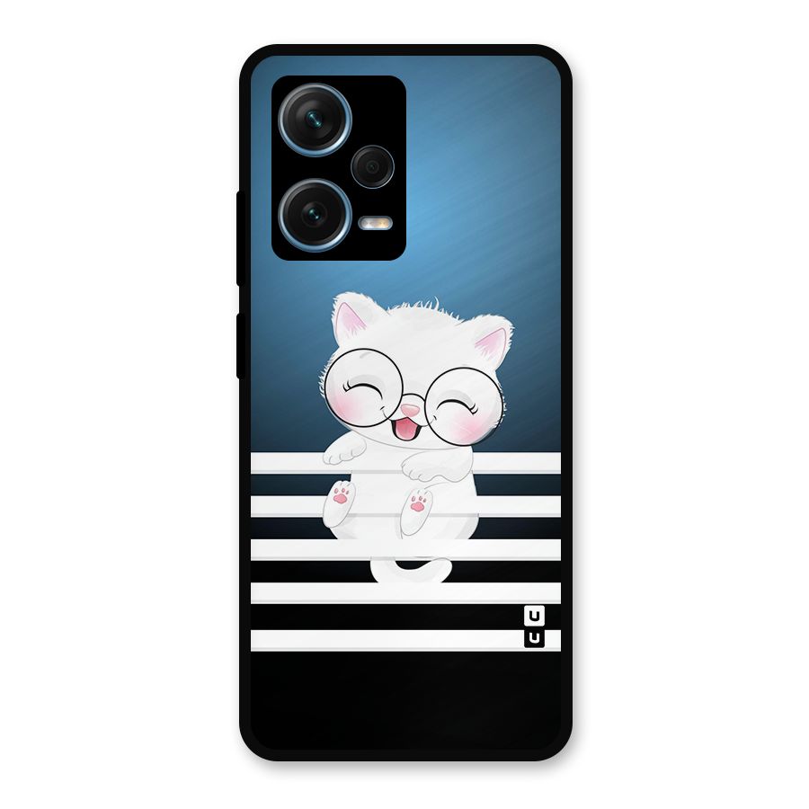 The Cat on Stripes Metal Back Case for Redmi Note 12 Pro Plus 5G