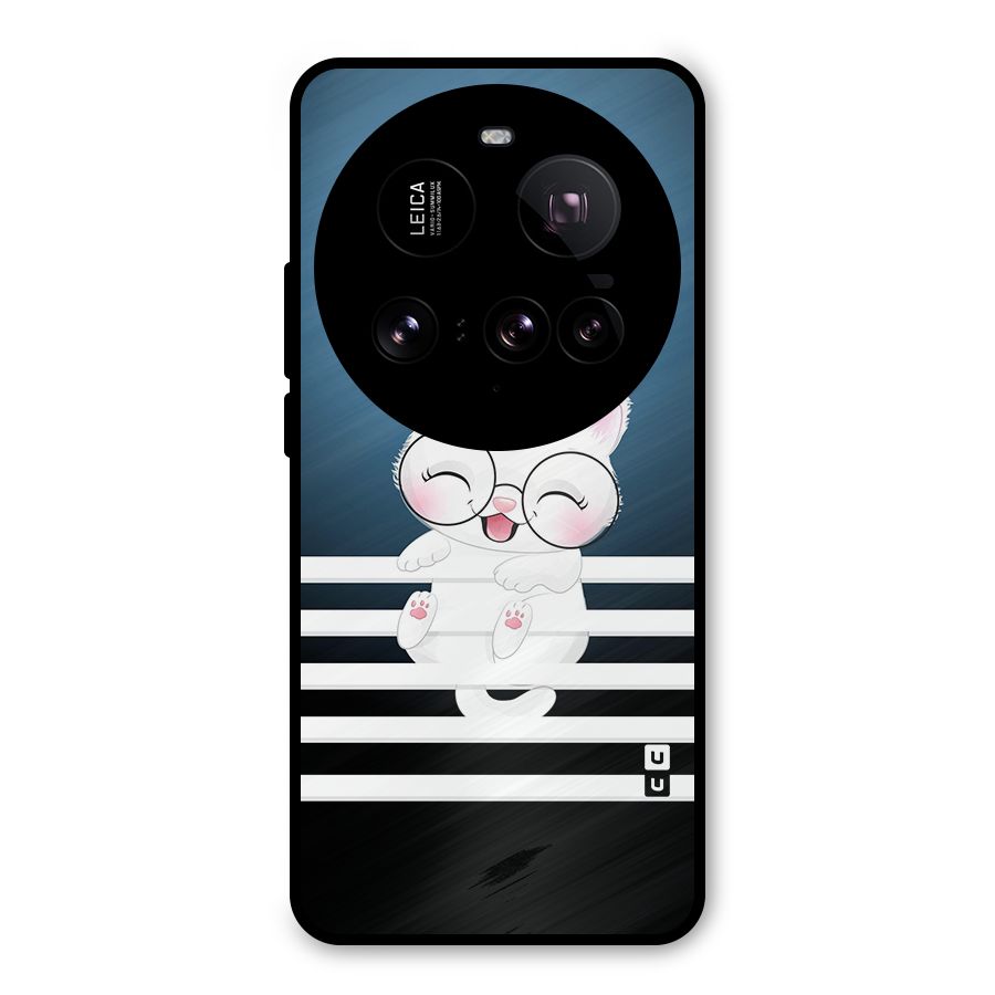 The Cat on Stripes Metal Back Case for Xiaomi 15 Ultra