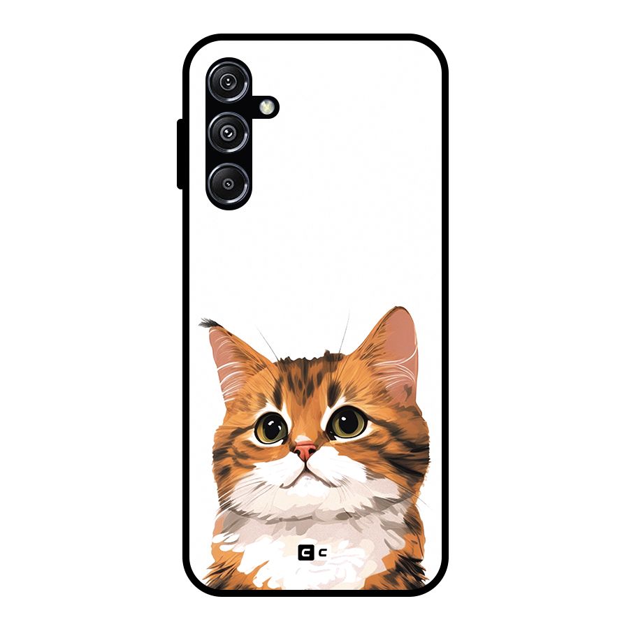 The Cute Cat Glass Back Case for Galaxy M34 5G