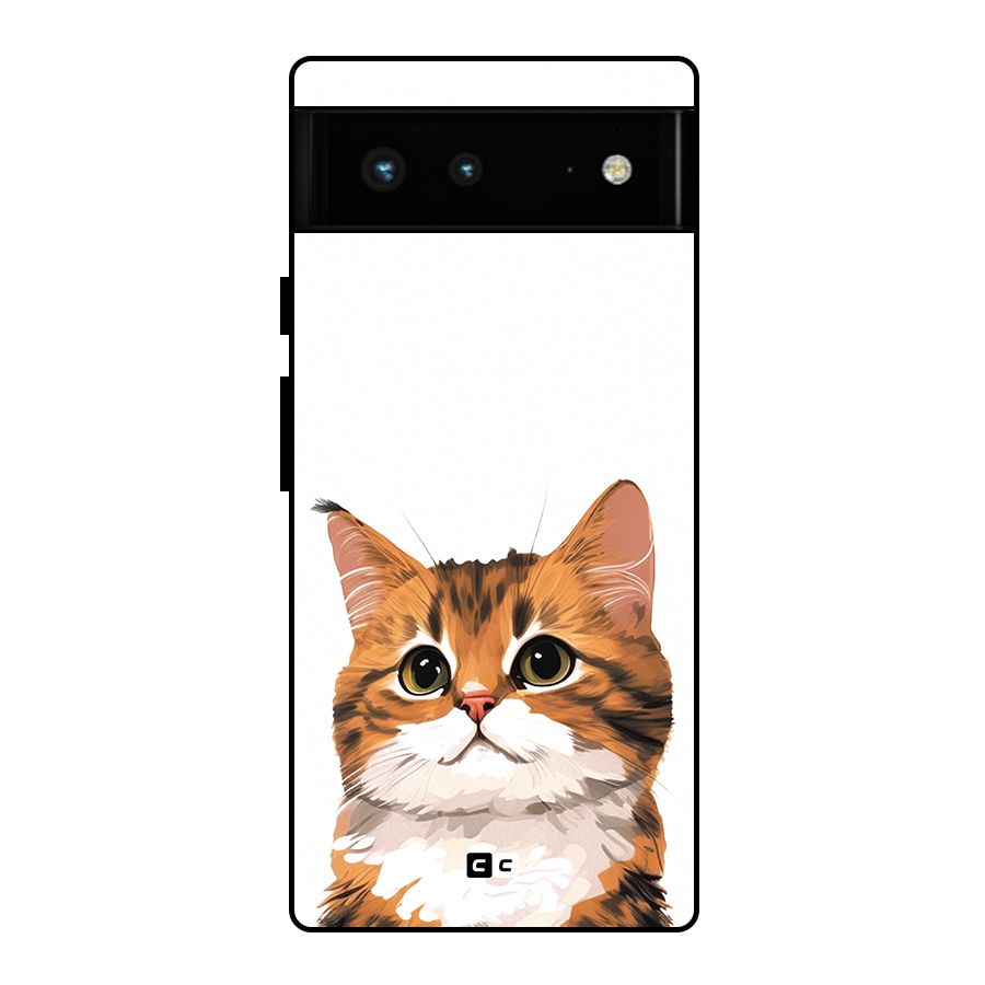 The Cute Cat Glass Back Case for Google Pixel 6