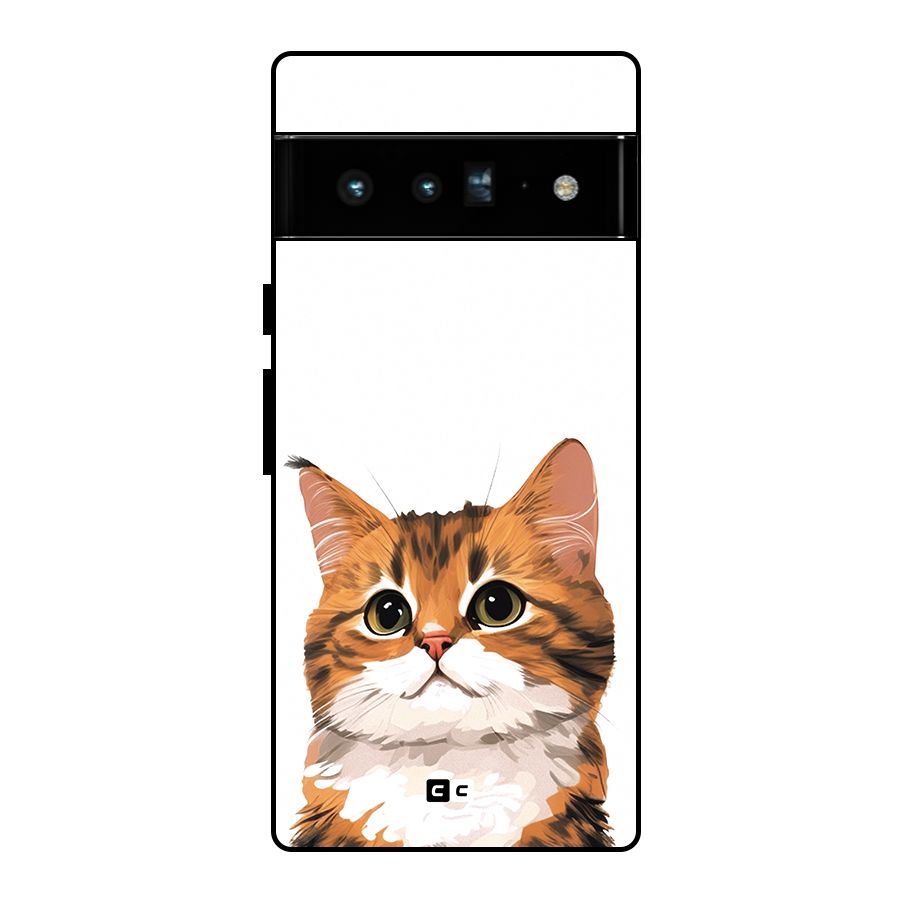 The Cute Cat Glass Back Case for Google Pixel 6 Pro