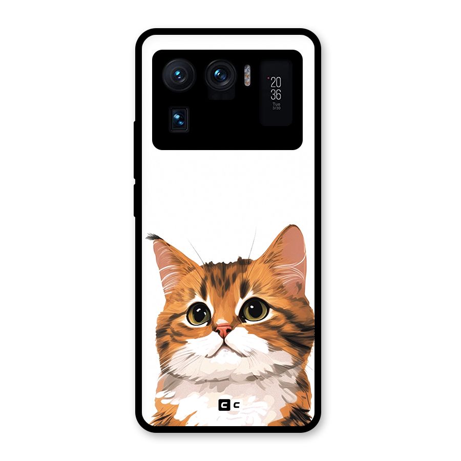 The Cute Cat Glass Back Case for Mi 11 Ultra