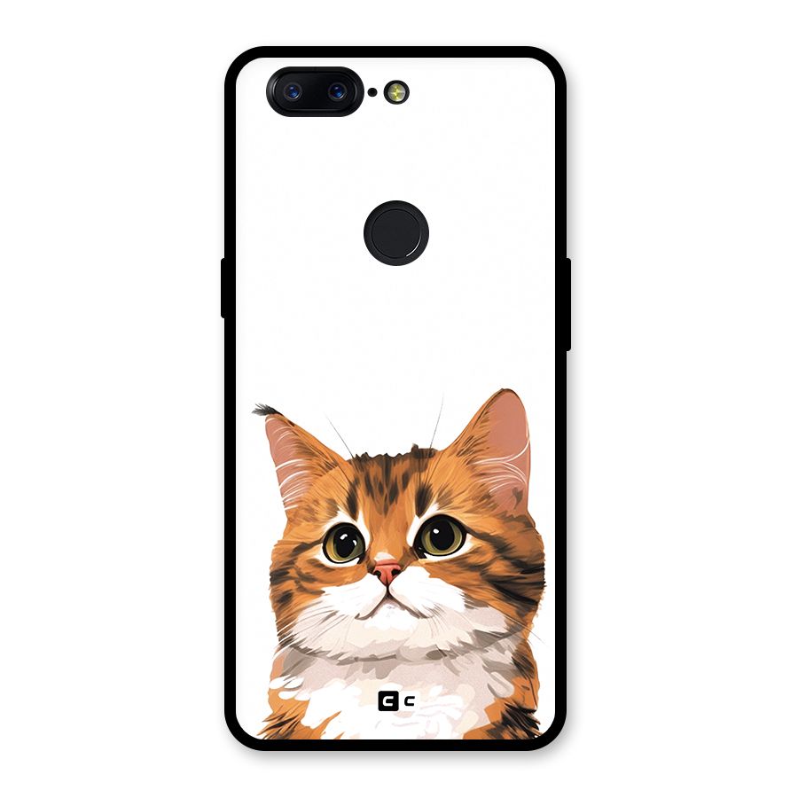 The Cute Cat Glass Back Case for OnePlus 5T