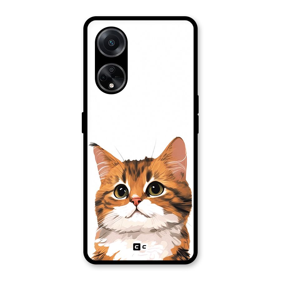 The Cute Cat Glass Back Case for Oppo F23