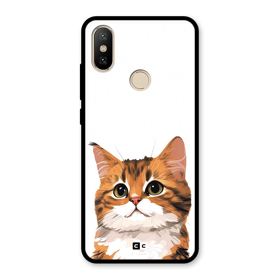The Cute Cat Glass Back Case for Redmi A2