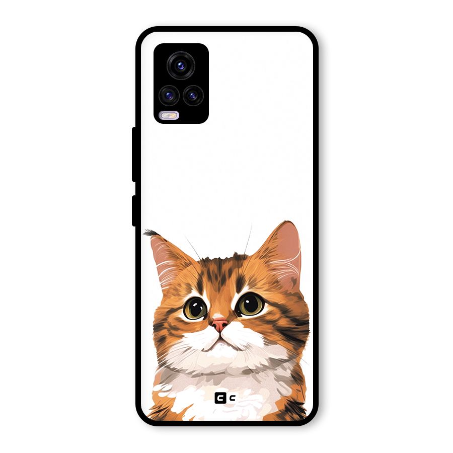 The Cute Cat Glass Back Case for Vivo V20 2021