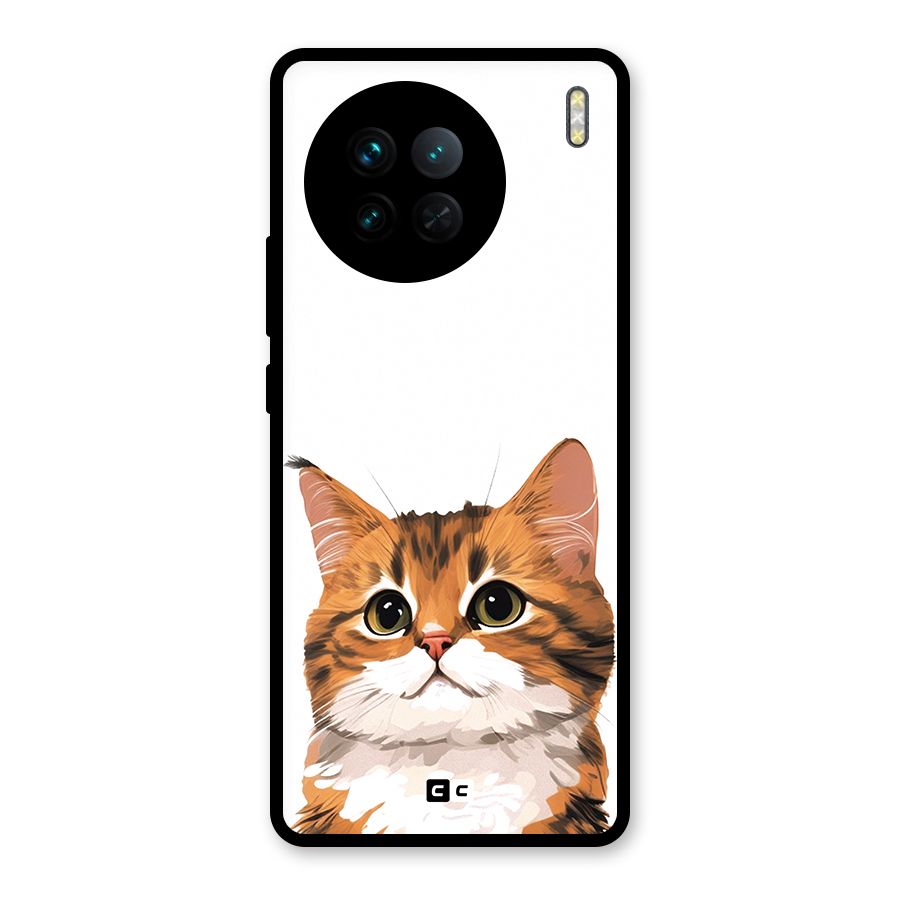 The Cute Cat Glass Back Case for Vivo X90