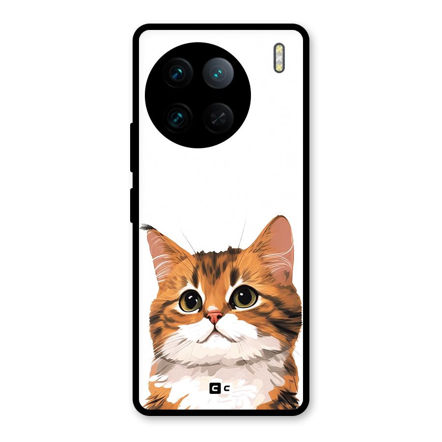 The Cute Cat Glass Back Case for Vivo X90 Pro