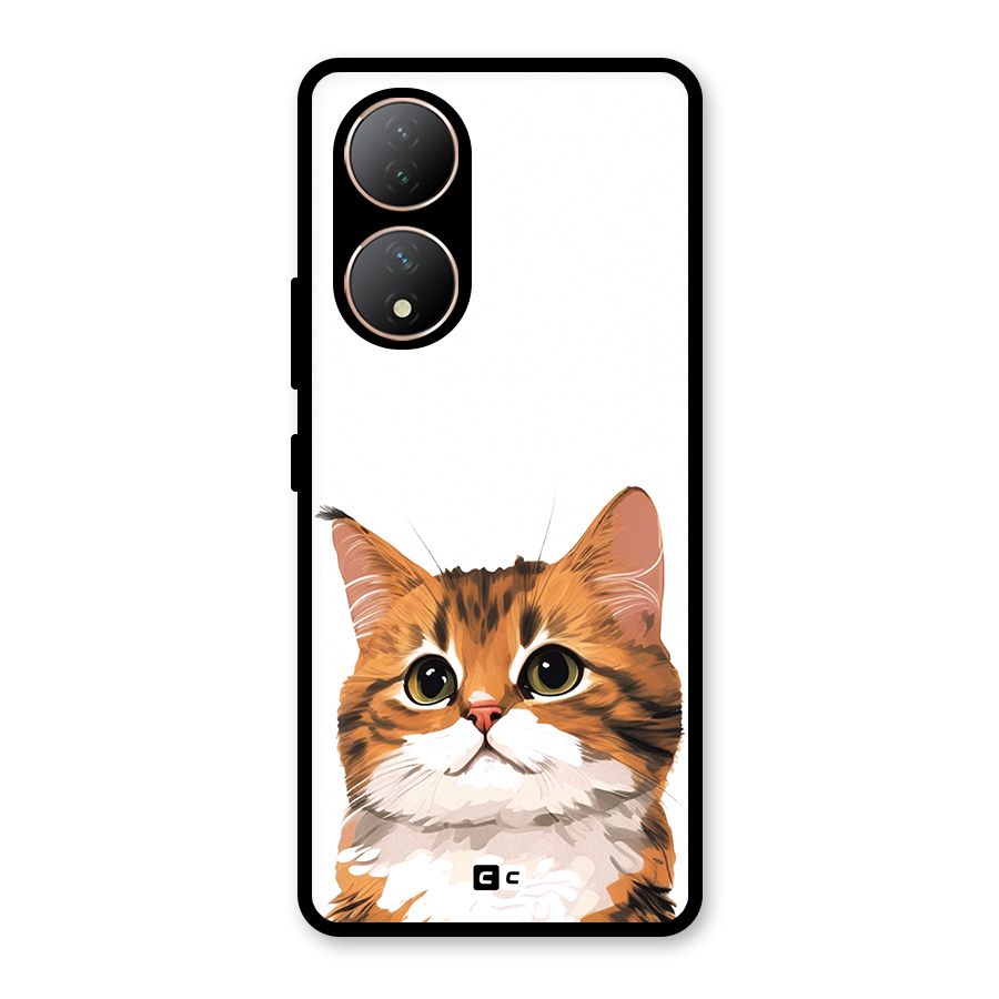 The Cute Cat Glass Back Case for Vivo Y100