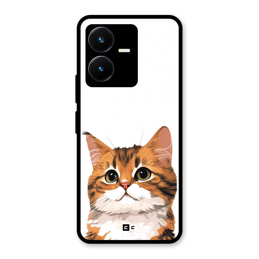 The Cute Cat Glass Back Case for Vivo Y22s