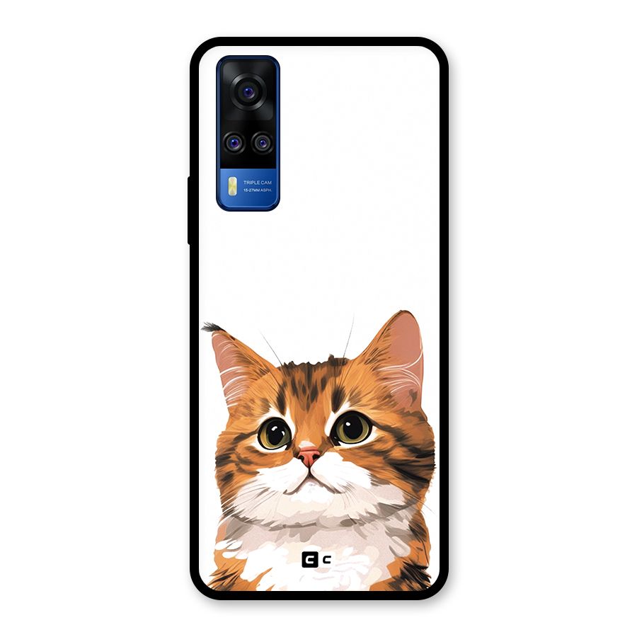 The Cute Cat Glass Back Case for Vivo Y31