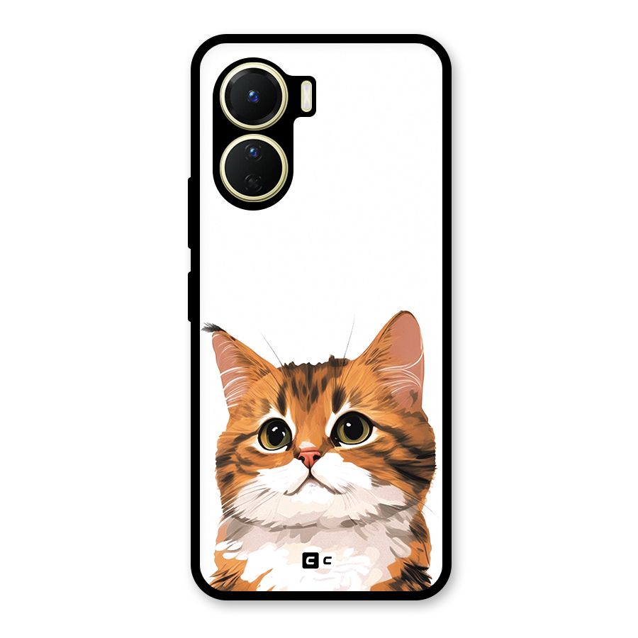 The Cute Cat Glass Back Case for Vivo Y56