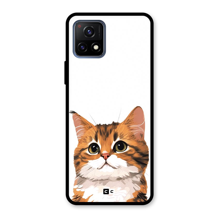 The Cute Cat Glass Back Case for Vivo Y72 5G