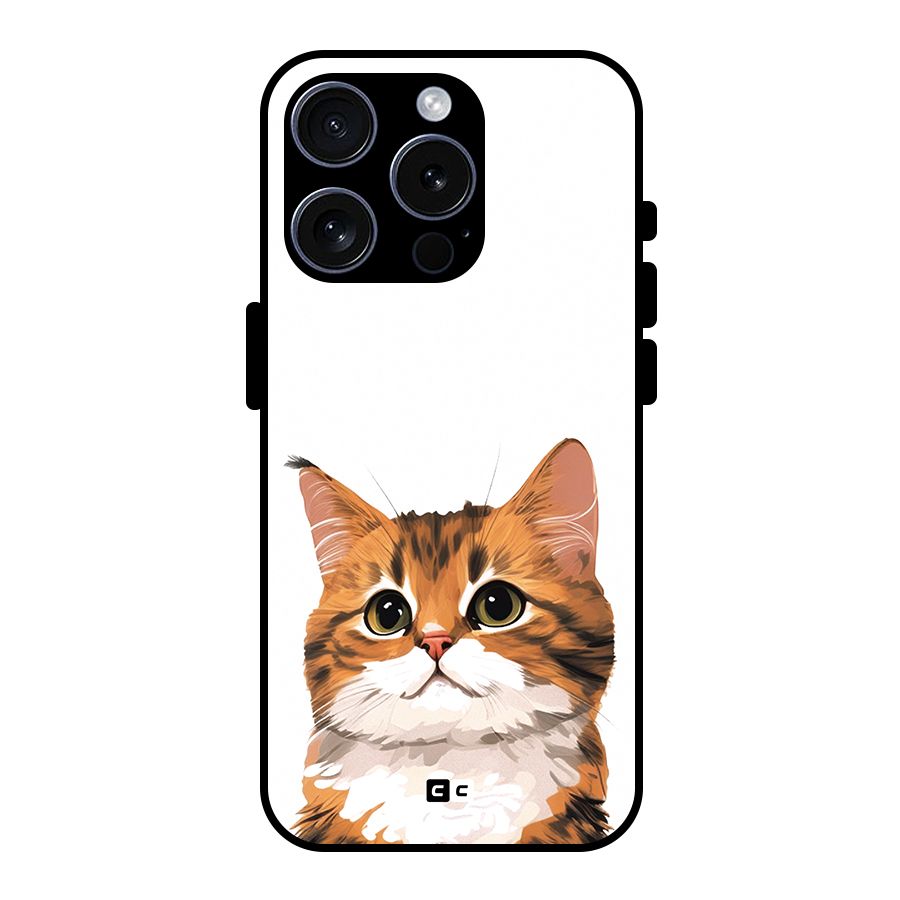 The Cute Cat Glass Back Case for iPhone 15 Pro