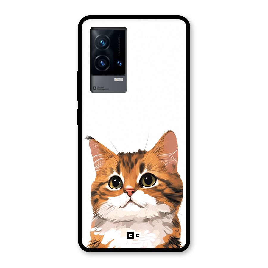 The Cute Cat Glass Back Case for iQOO 9 5G