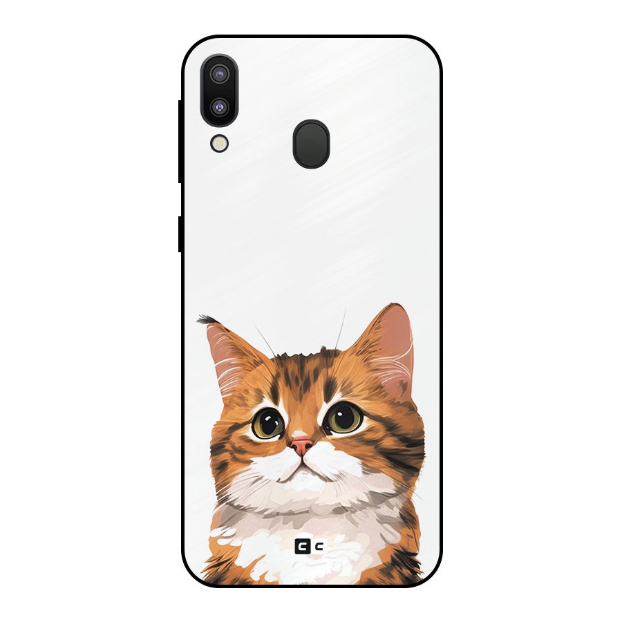The Cute Cat Metal Back Case for Galaxy M20