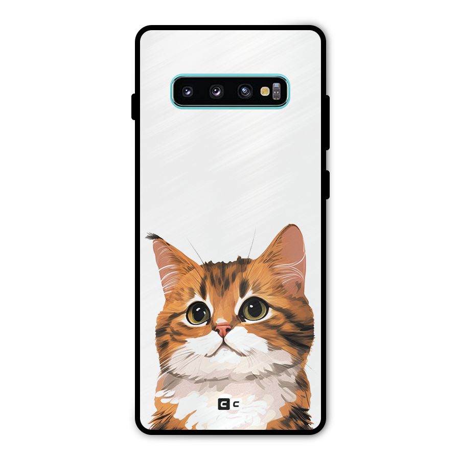 The Cute Cat Metal Back Case for Galaxy S10 Plus