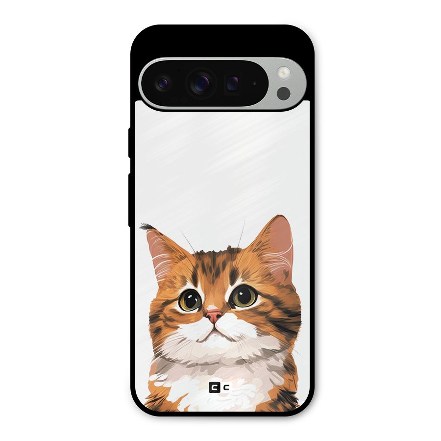 The Cute Cat Metal Back Case for Google Pixel 9 Pro XL