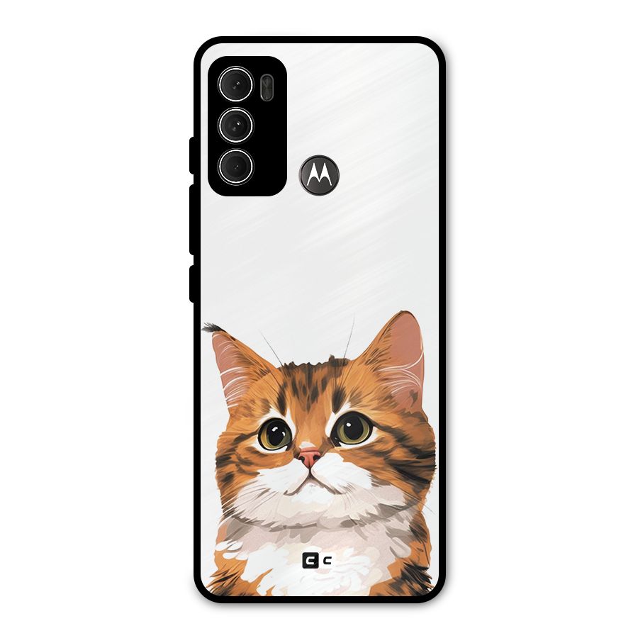 The Cute Cat Metal Back Case for Moto G60