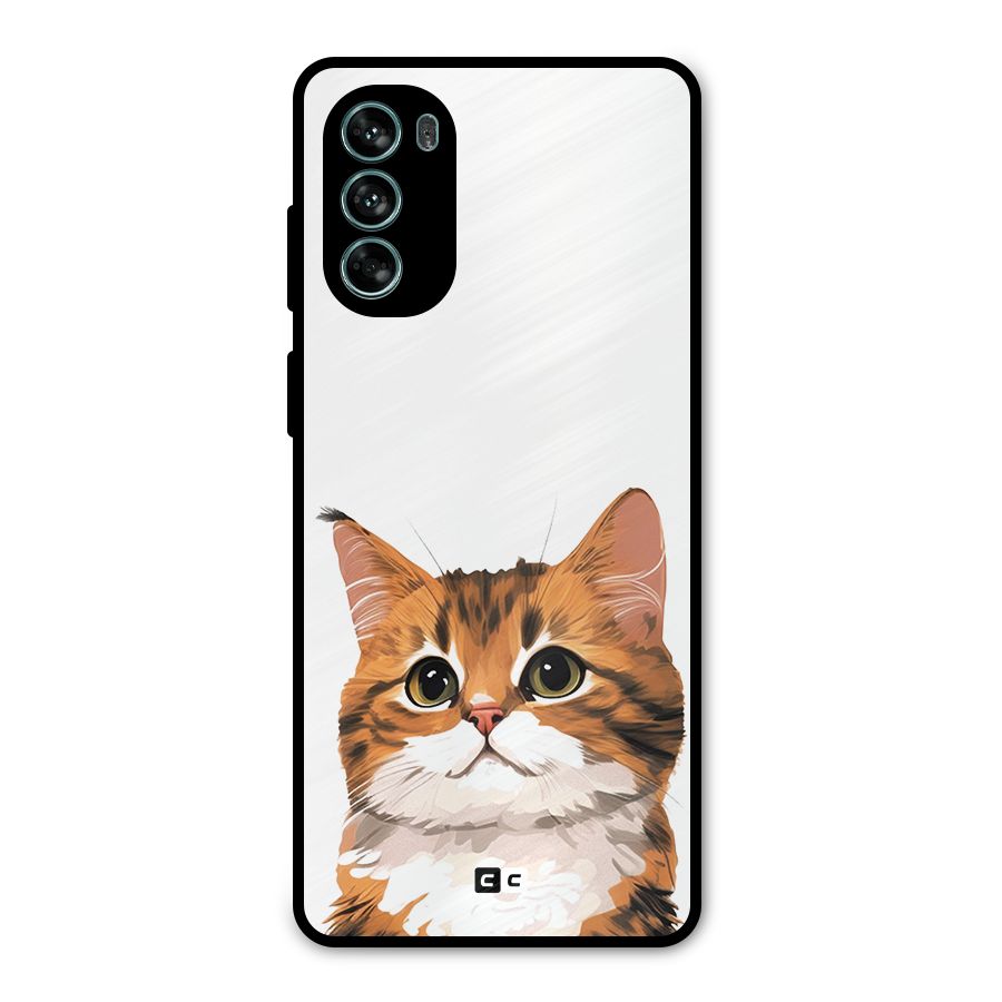 The Cute Cat Metal Back Case for Moto G62