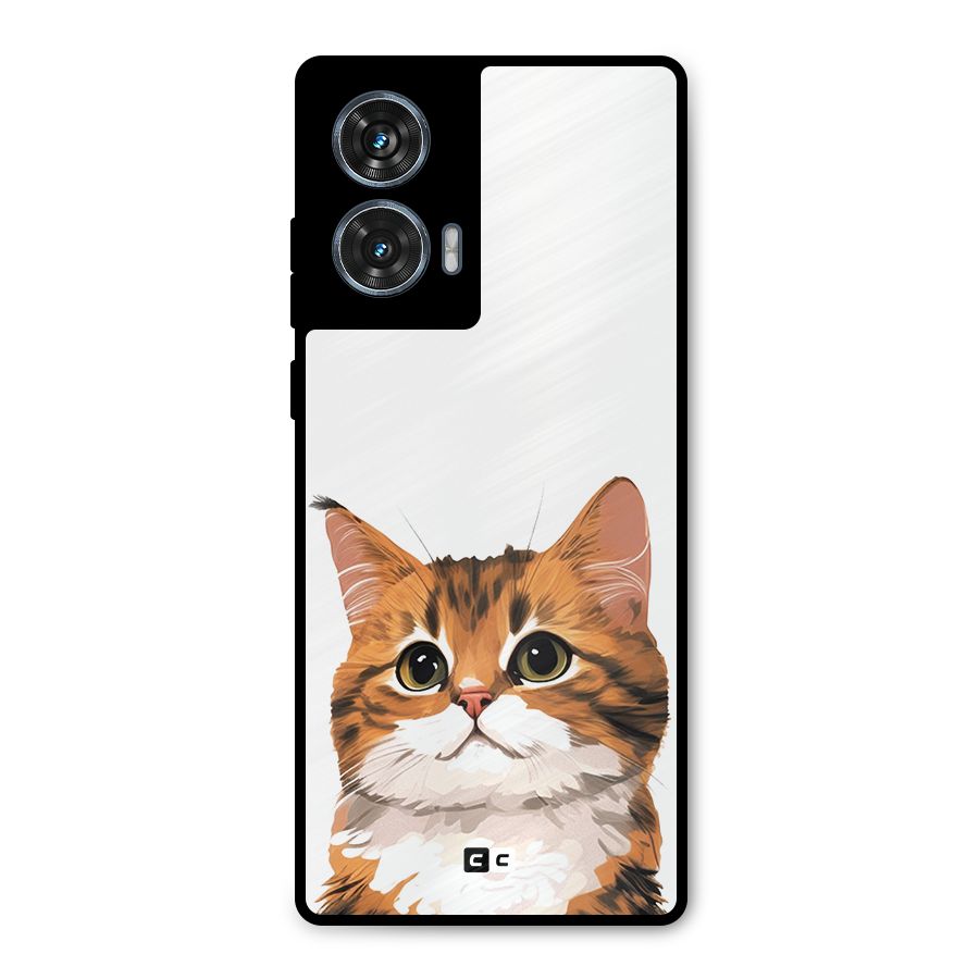 The Cute Cat Metal Back Case for Motorola Edge 50 Fusion