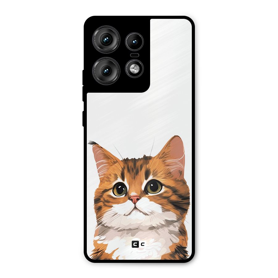 The Cute Cat Metal Back Case for Motorola Edge 50 Pro