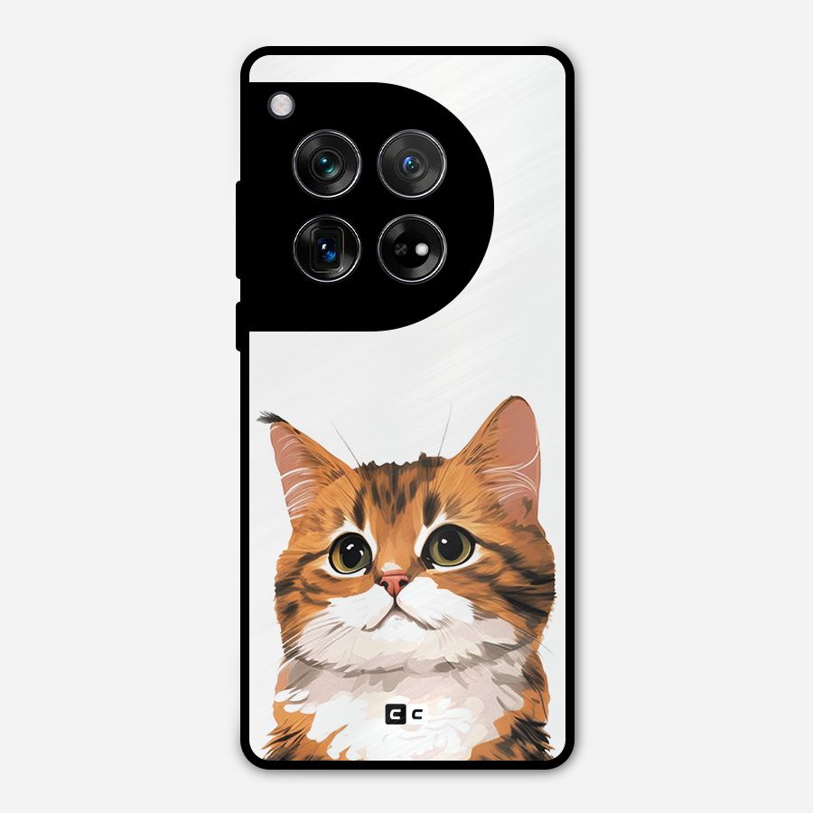 The Cute Cat Metal Back Case for OnePlus 12