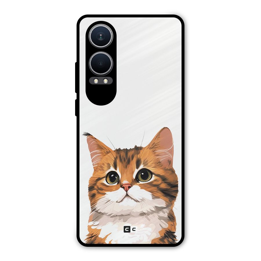 The Cute Cat Metal Back Case for OnePlus Nord CE4 Lite