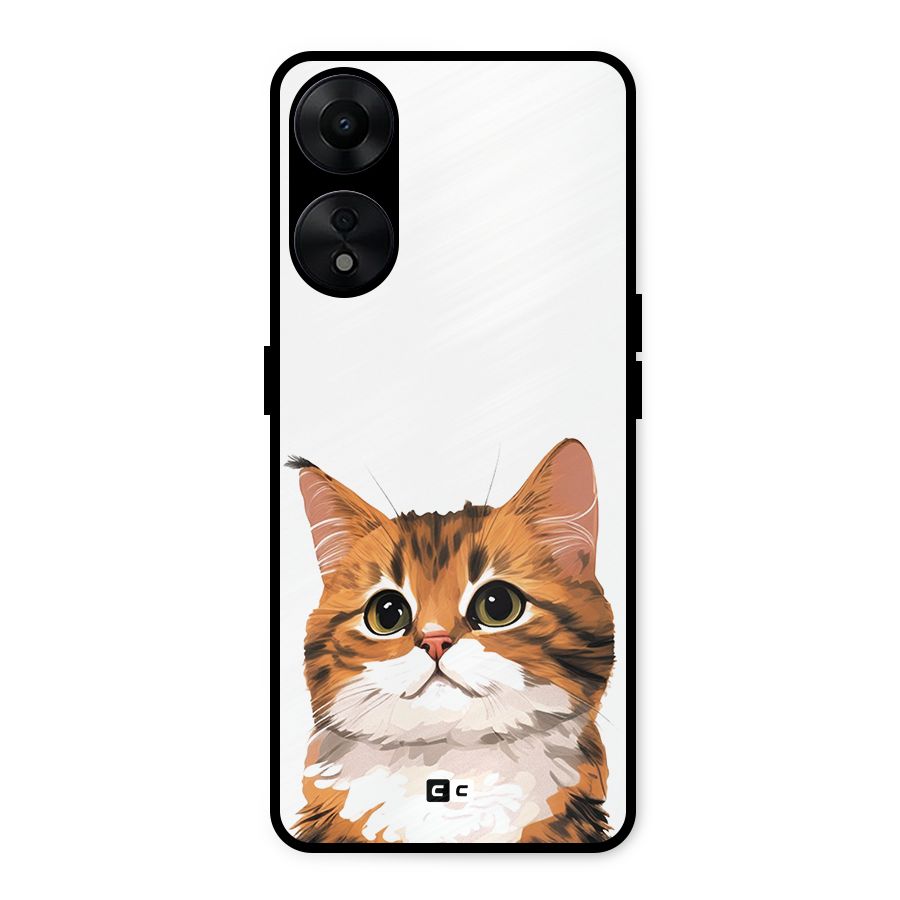 The Cute Cat Metal Back Case for Oppo A78 5G