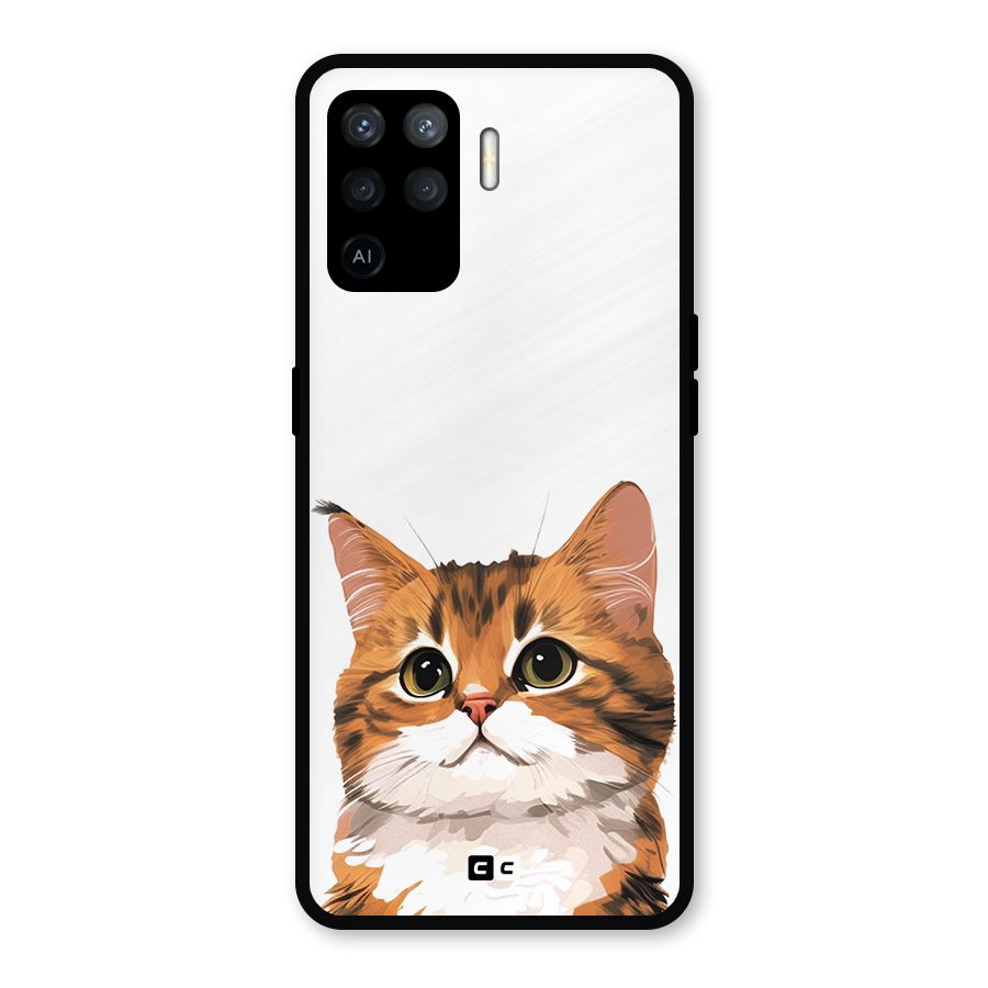 The Cute Cat Metal Back Case for Oppo F19 Pro