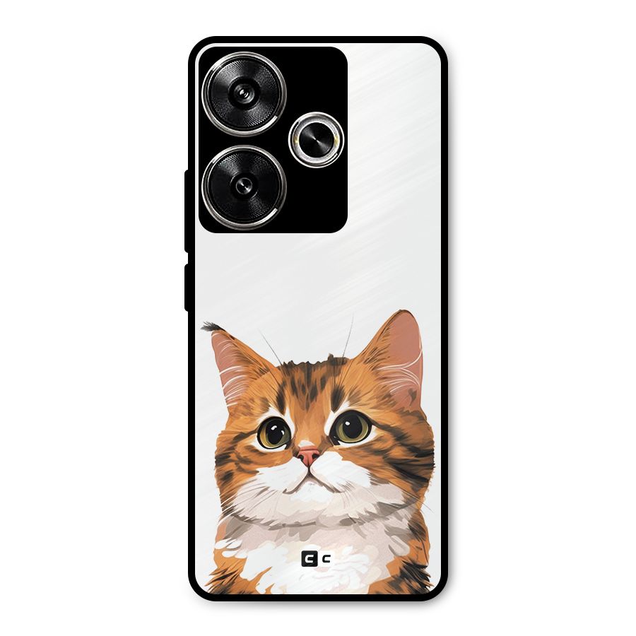 The Cute Cat Metal Back Case for Poco F6