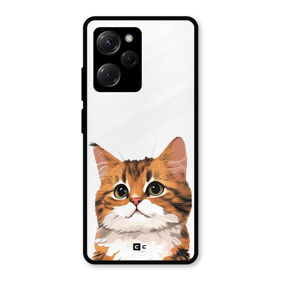 The Cute Cat Metal Back Case for Poco X5 Pro