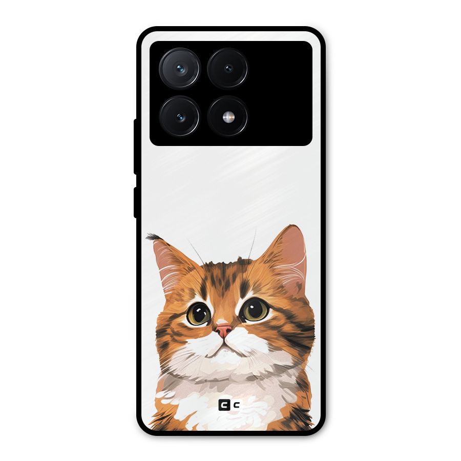 The Cute Cat Metal Back Case for Poco X6 Pro