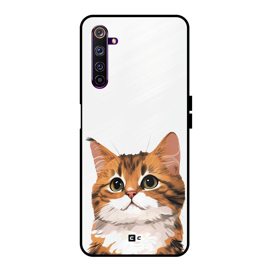 The Cute Cat Metal Back Case for Realme 6 Pro