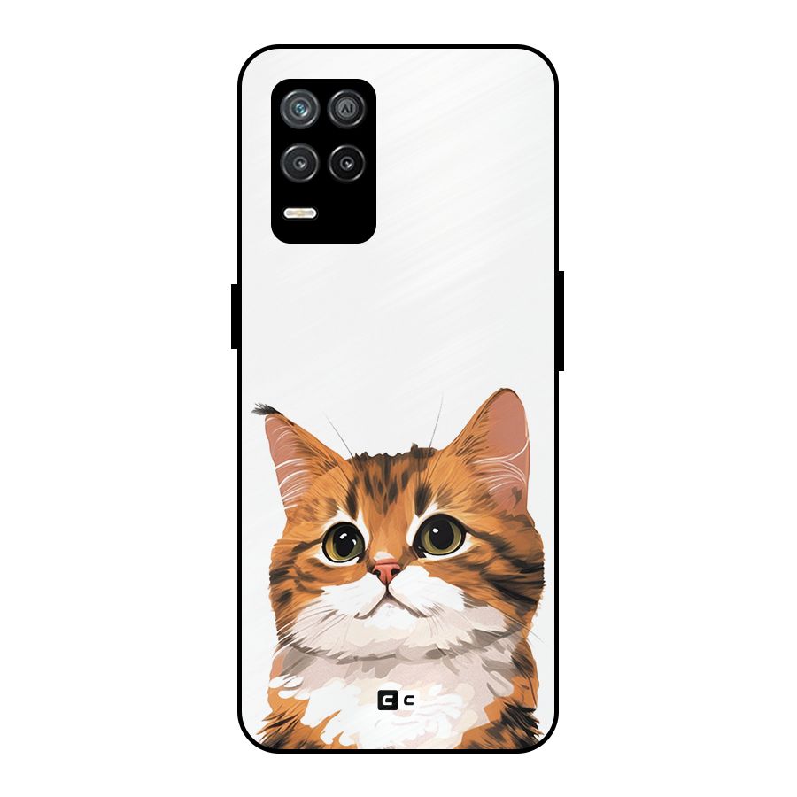 The Cute Cat Metal Back Case for Realme 9 5G