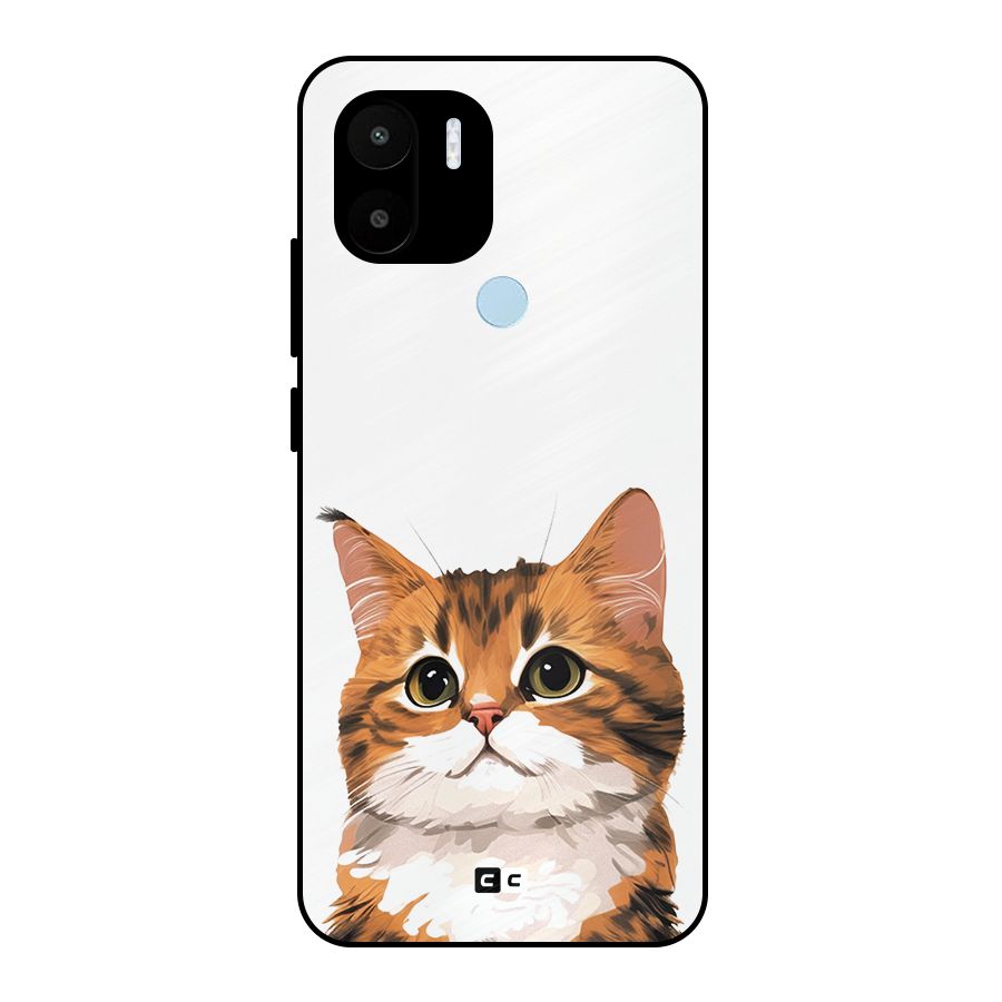 The Cute Cat Metal Back Case for Redmi A1+