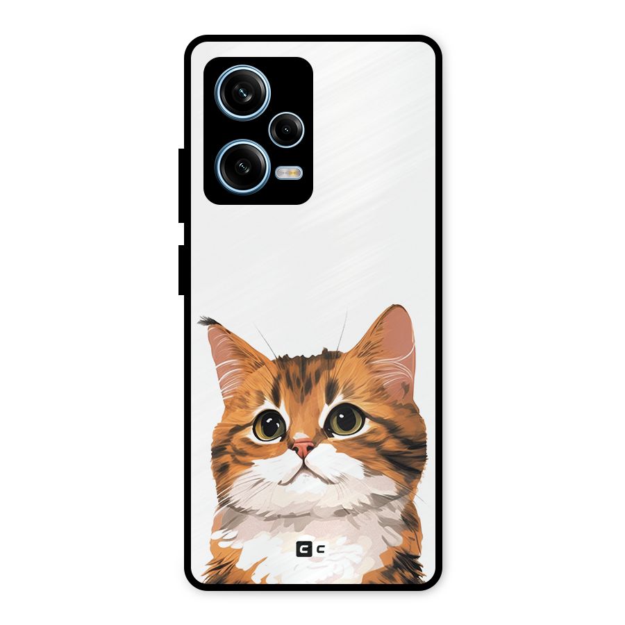 The Cute Cat Metal Back Case for Redmi Note 12 Pro