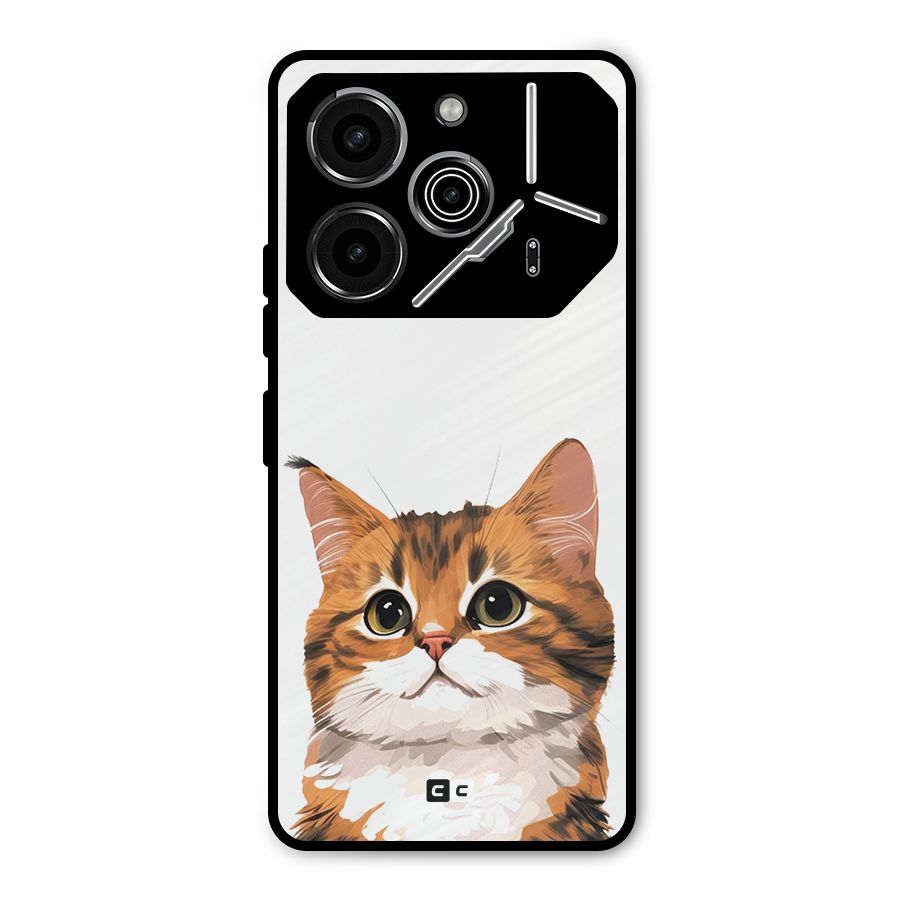 The Cute Cat Metal Back Case for Tecno Pova 6 Pro